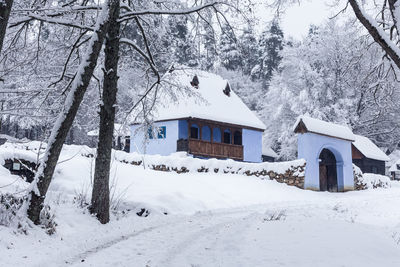 Snow covered houses and trees by buildings during winter