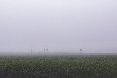 Scenic view of field against sky at foggy weather