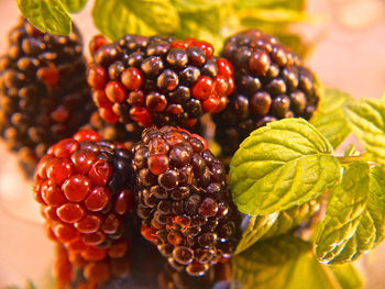 Close-up of fruits