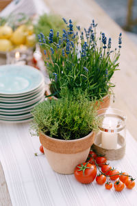 Close-up of potted plants on table