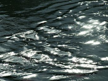 Reflection of trees in water