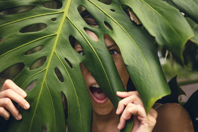 Close-up of woman holding leaves