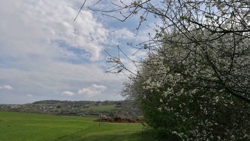 Scenic view of farm against sky