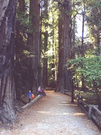 People walking on footpath in forest