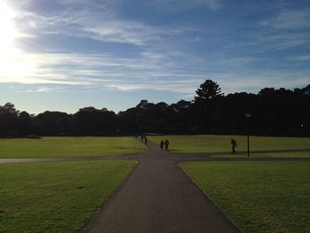 Trees on grassy field