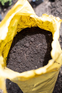 Close-up of chocolate cake