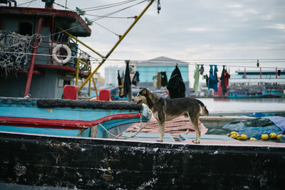 View of people with boats in sea against sky