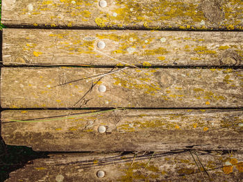 Full frame shot of yellow wood