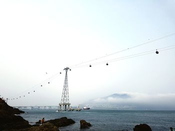 Birds flying over sea against clear sky