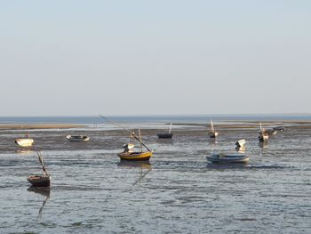 Sailboats in sea against clear sky