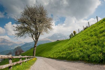 Road amidst green landscape against sky