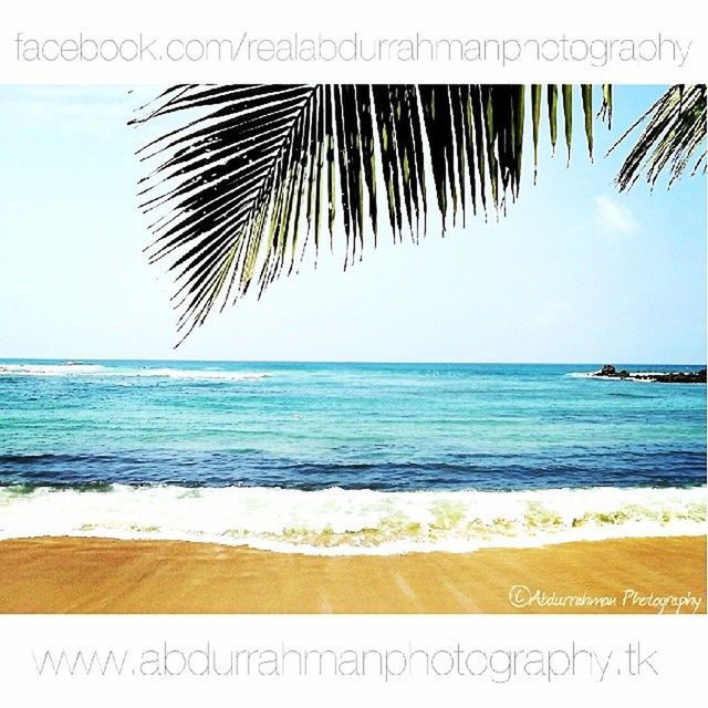 sea, horizon over water, beach, water, tranquil scene, shore, scenics, palm tree, tranquility, sand, beauty in nature, clear sky, nature, sky, blue, idyllic, wave, no people, coastline, outdoors