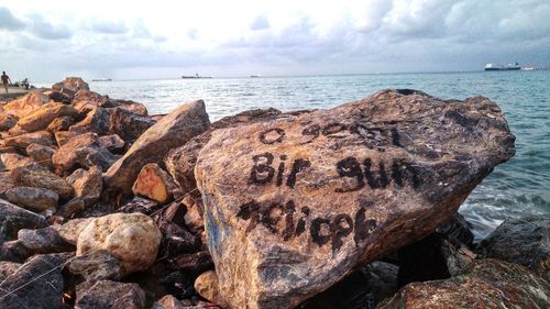 Close-up of rock on beach against sky