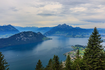 View of trees with mountain range in background