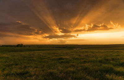 Scenic view of sunset over grassy field