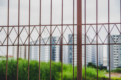 Close-up of window in greenhouse