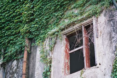 Exterior of abandoned building