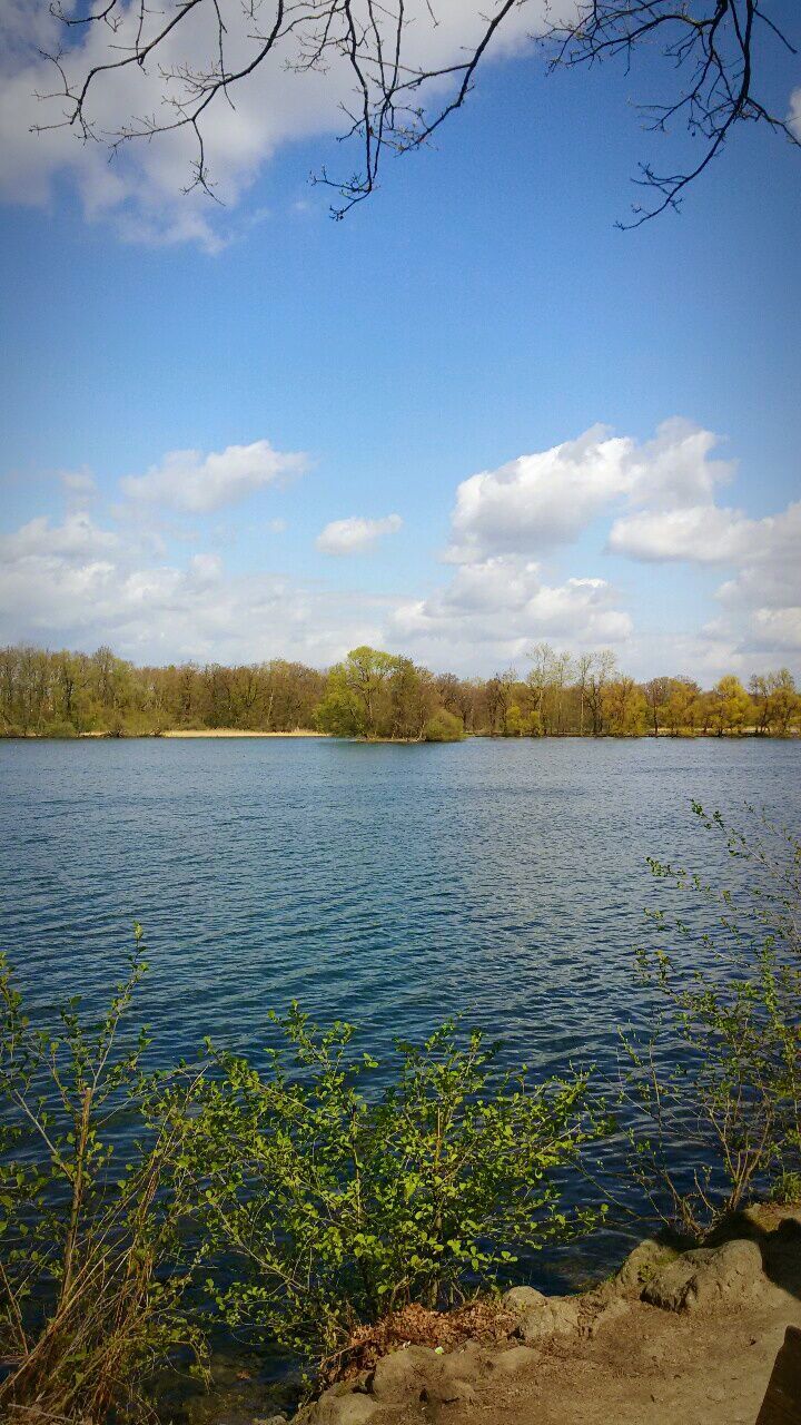 water, sky, tranquility, tranquil scene, tree, lake, scenics, beauty in nature, nature, cloud - sky, cloud, river, reflection, growth, idyllic, rippled, lakeshore, day, landscape, blue