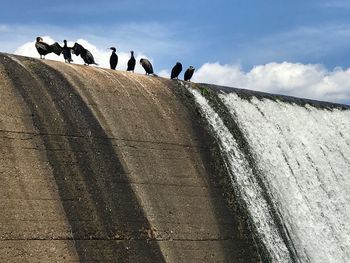 Low angle view of people on wall against sky