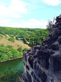 Scenic view of river in forest against sky