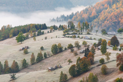 High angle view of trees on landscape against sky