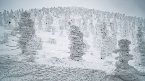 Panoramic view of snow covered mountain