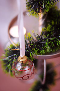 Close-up of christmas tree