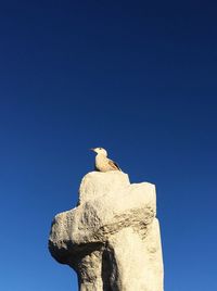 Low angle view of bird statue against clear blue sky