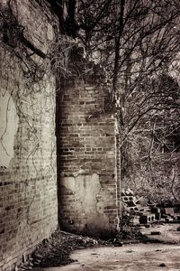 Closed door of old building