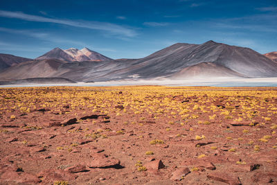 Scenic view of salt flats against sky