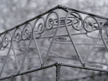 Close-up of frozen gate