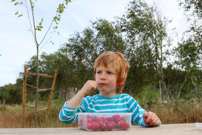 A blond boy eats cherries and looks thoughtfully into the distance. a  boy with a soiled mouth  