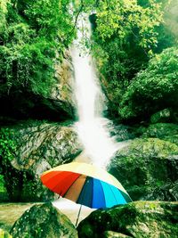 Scenic view of waterfall in forest