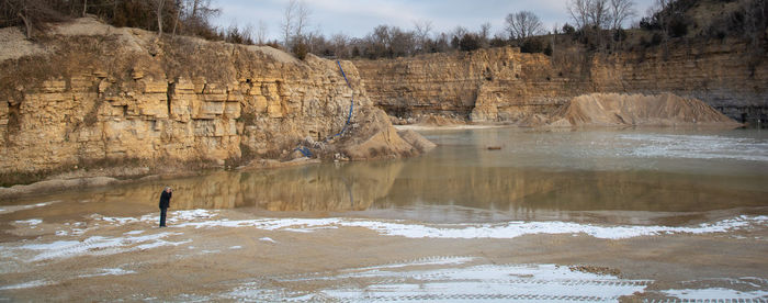 View of trees on rock during winter