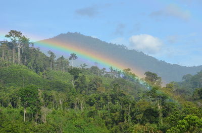 Scenic view of rainbow against sky