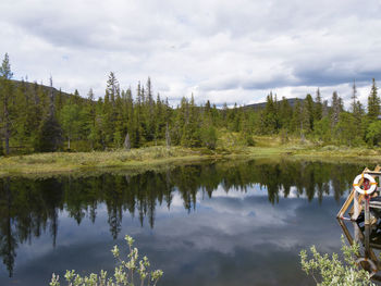 Reflection of trees in lake against sky