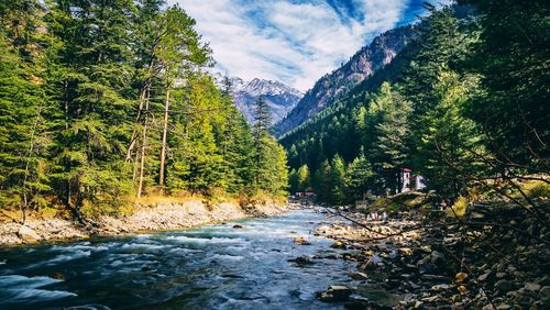 Scenic view of river amidst trees against sky