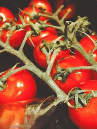 Close-up of red tomatoes