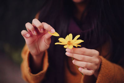 Young woman picks yellow flower petals in the field