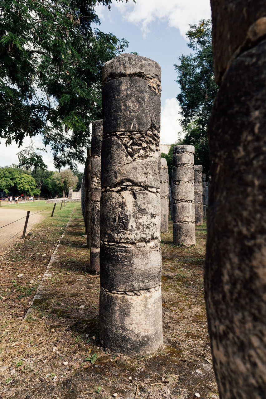 plant, tree, history, the past, nature, ancient history, architecture, no people, ancient, monolith, rock, ruins, sky, stone material, outdoors, day, travel destinations, old ruin, sculpture, grave, tombstone, old, cemetery, craft, megalith, travel, built structure, religion, memorial, cloud