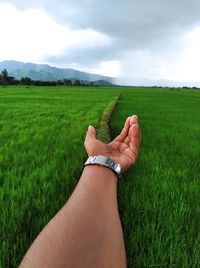 Low section of person hand on land