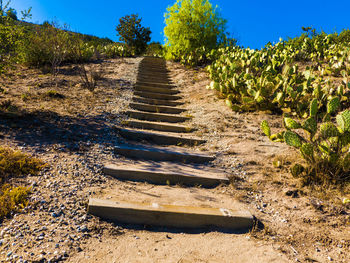 Shadow on tree against sky