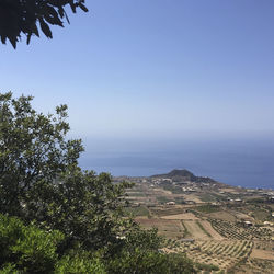 High angle view of trees on landscape against clear sky