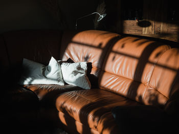 Cat relaxing on bed