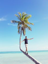 Man walking on tree trunk at beach