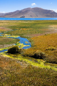 Scenic view of stream against sky