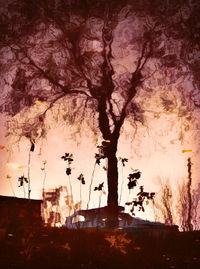 Silhouette tree against sky during sunset