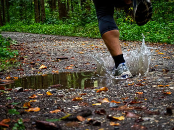 Low section of woman in water at forest