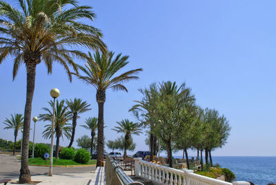 Palm trees on beach against clear blue sky