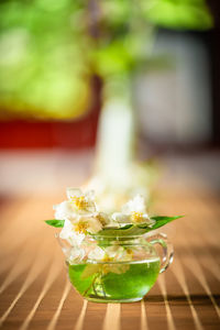 Close-up of drink on glass table